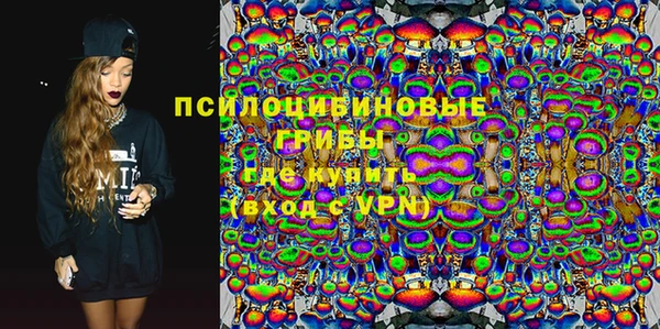 PSILOCYBIN Горнозаводск